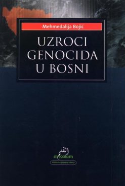 Uzroci genocida u Bosni