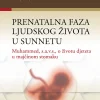 Prenatalna faza ljudskog života