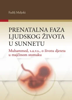 Prenatalna faza ljudskog života